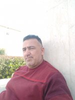 صورة العضو