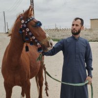 موقع زواج