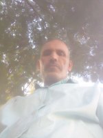 صورة العضو