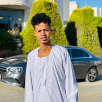 صورة العضو